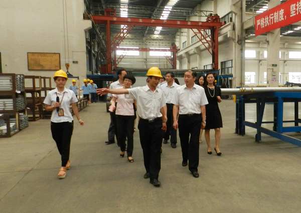 徐州市人大常委會(huì)常委張亞率團(tuán)蒞臨我公司指導(dǎo)工作