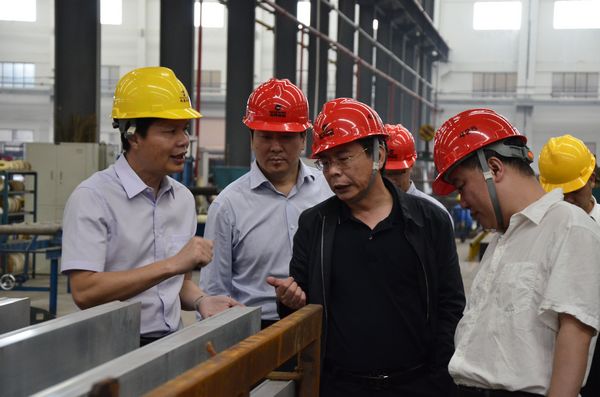 中國有色金屬工業(yè)協(xié)會文獻軍副會長一行蒞臨我公司指導工作