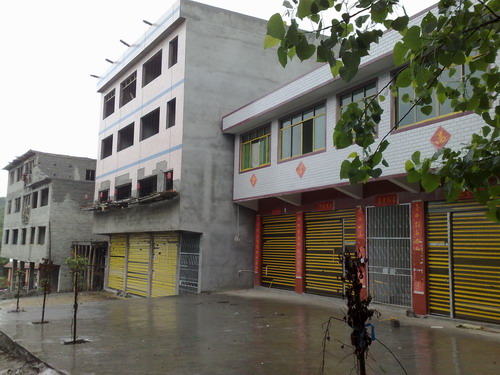 保質(zhì)量 樹(shù)品牌    訪用戶(hù) 全服務(wù)