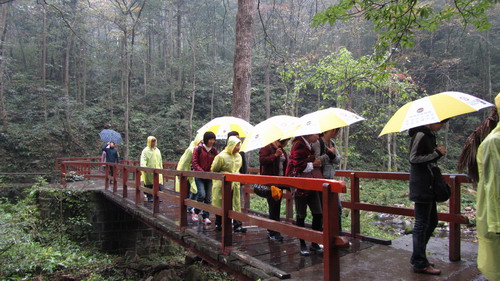 我公司組織部分員工張家界，鳳凰古城四日游