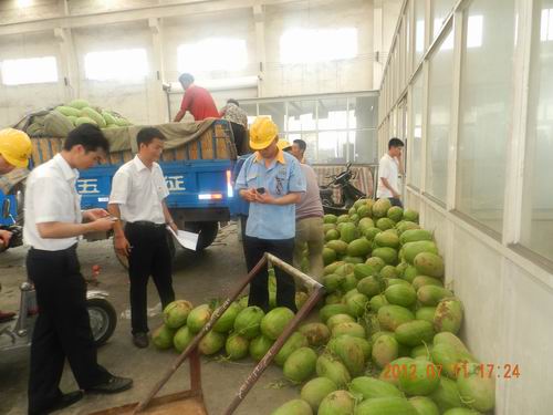 夏日氣溫節(jié)節(jié)升，清涼西瓜頻頻送