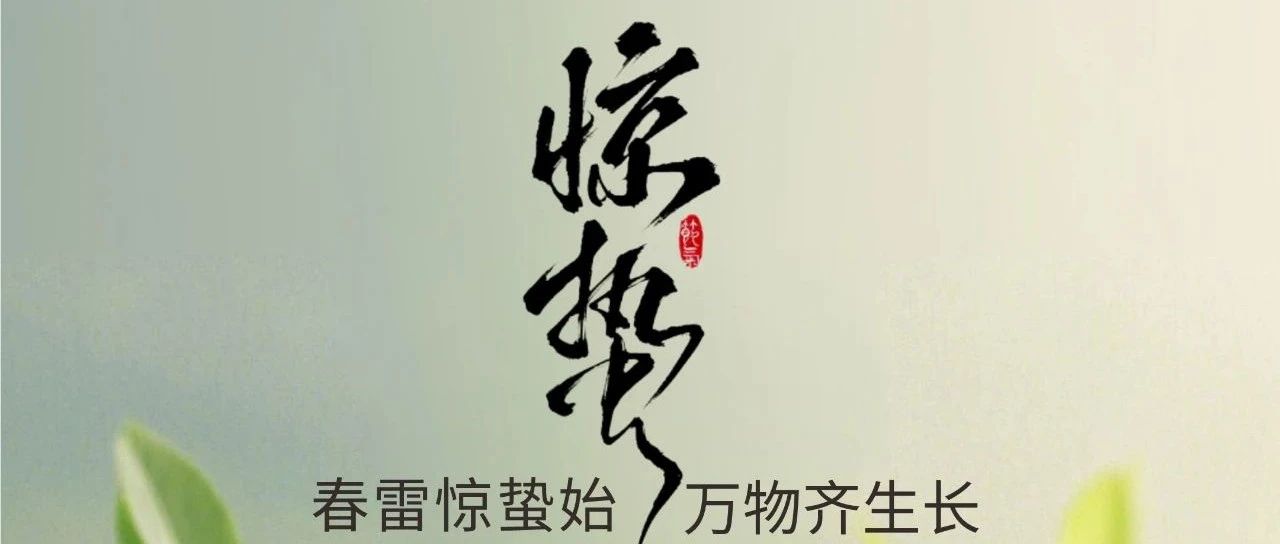 驚蟄 | 春雷驚蟄始 萬物齊生長